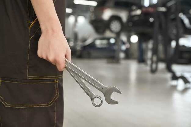 Storage Solutions: Best Practices for Year-Round Care