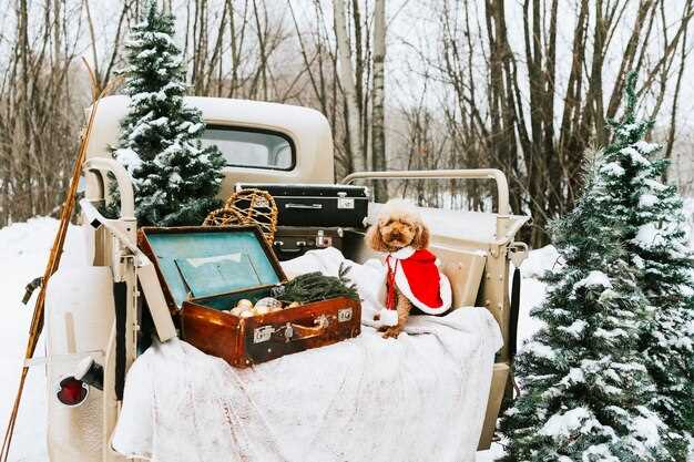 Preparing Your Vintage Car for Winter Storage